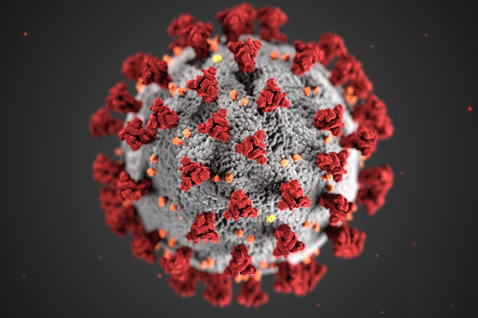 Coronavirus Image