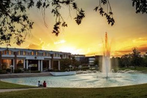 Ucf Online Learning