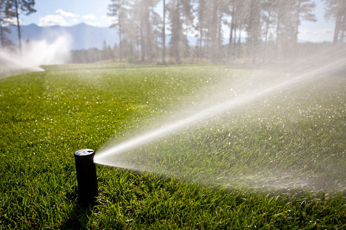 Watering A Golf Course With Sprinkler System