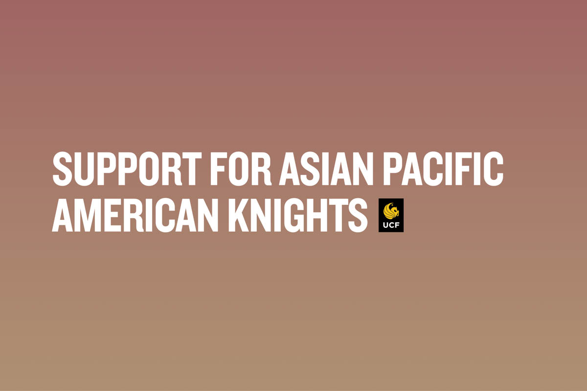 support for asian pacific american knights graphic