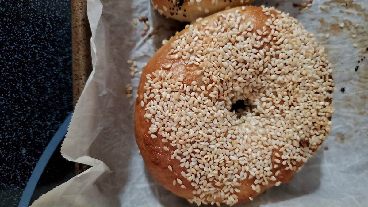 ucf bagel