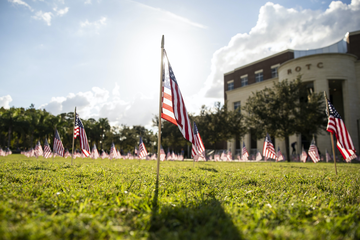 veterans flags