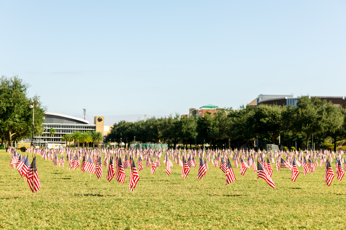 veterans flags